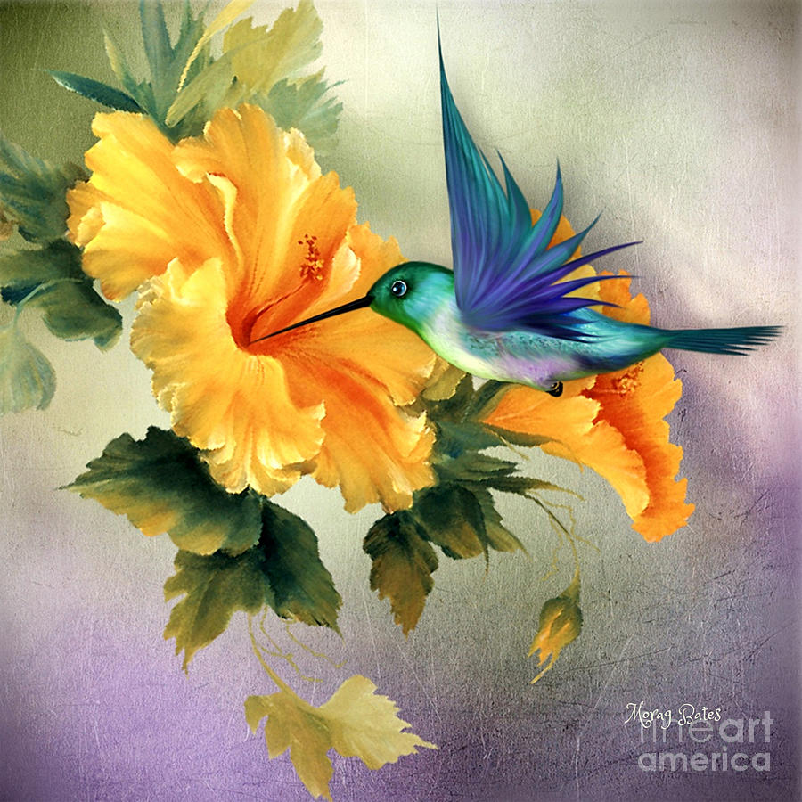 Hummingbird Digital Art - Tiny Wings #1 by Morag Bates