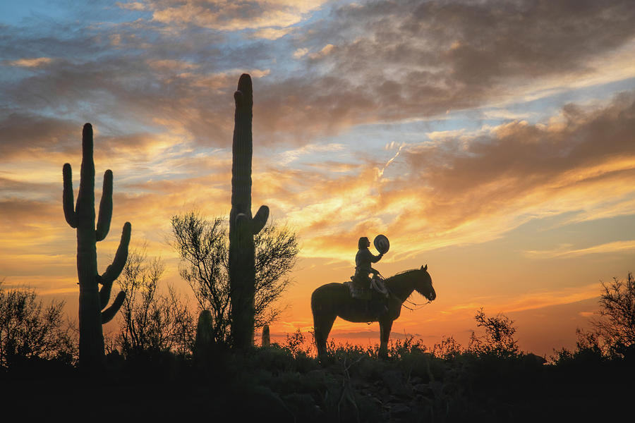 Tipping The Sunrise - Arizona Desert Print Photograph by Harriet Feagin