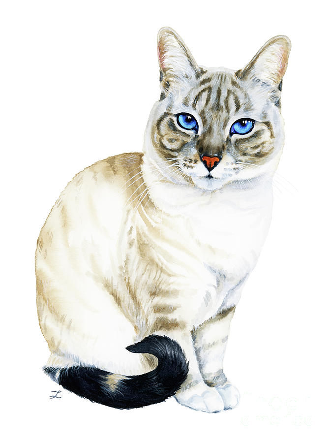 Tiramisu the Blue-eyed Cat Painting by Zaira Dzhaubaeva