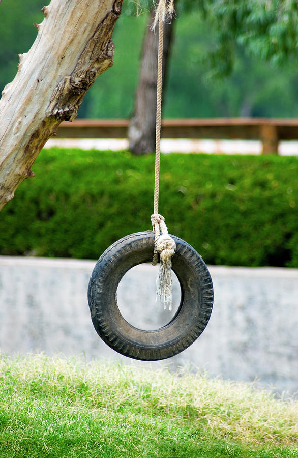 Tire Swing Photograph by Bob Pardue