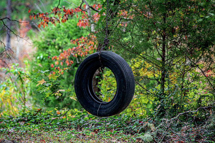 Tire Swing Digital Art by Linda Segerson