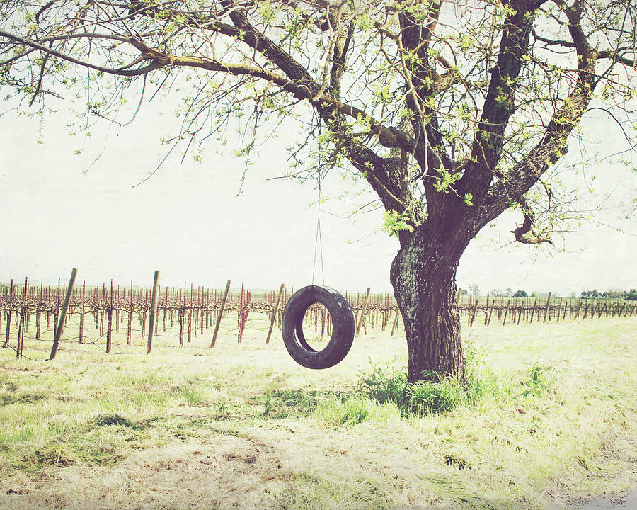 Tire Swing Photograph by Lupen Grainne