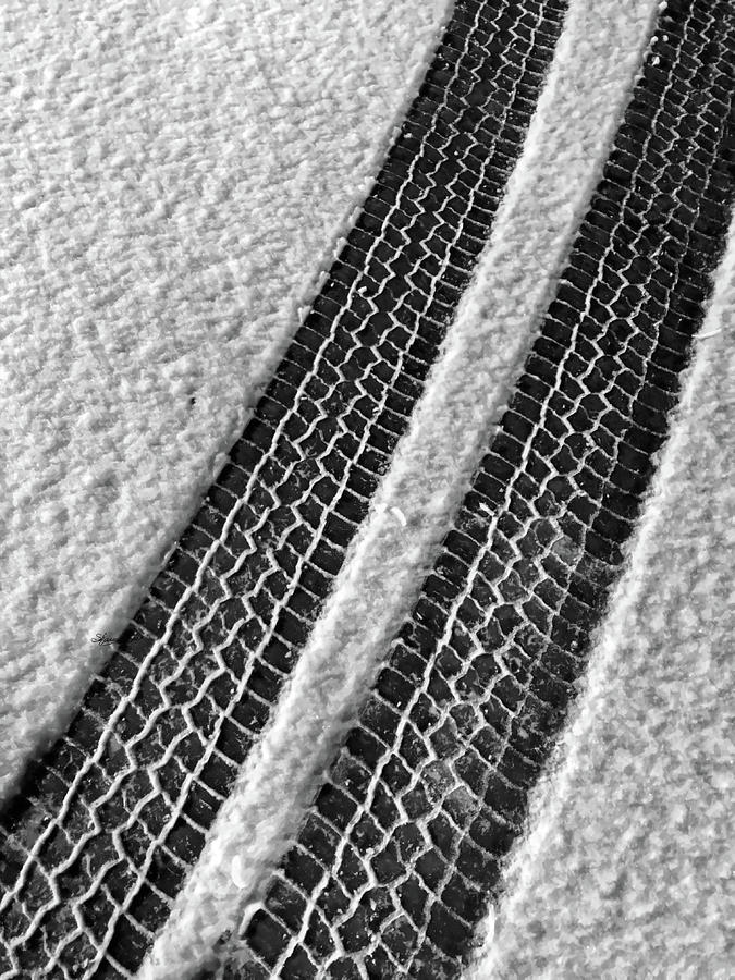 Tire Tracks Photograph by Sharon Popek