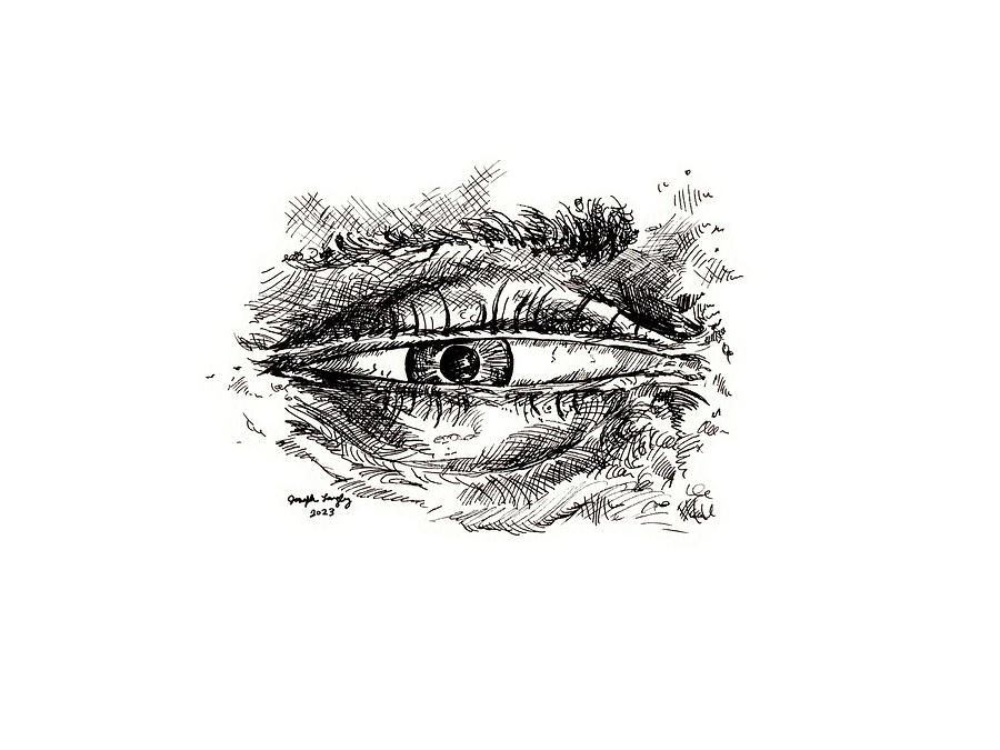 Tired Eye - September 2023 Drawing by Joseph A Langley Tired Eye - September 2023 Drawing by Joseph A Langley