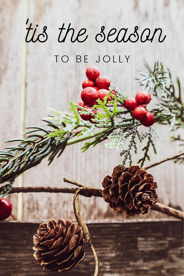 Tis the Season to be Jolly Photograph by W Craig Photography