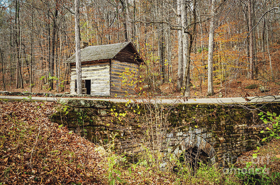 Tishomingo State Park Cabin and Stone Bridge Photograph by Joan McCool