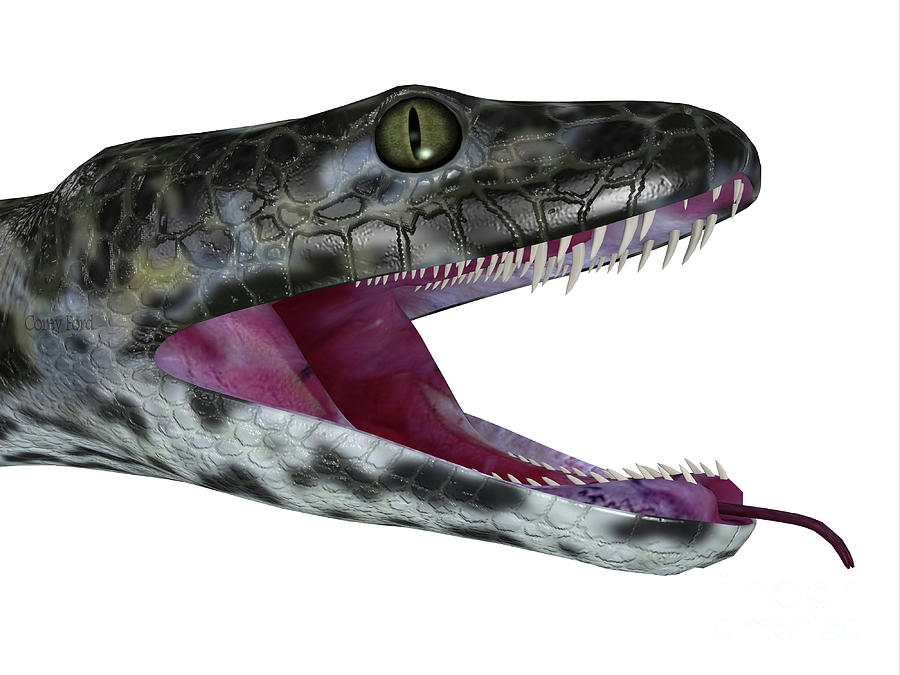 Titanoboa Snake Head Digital Art by Corey Ford