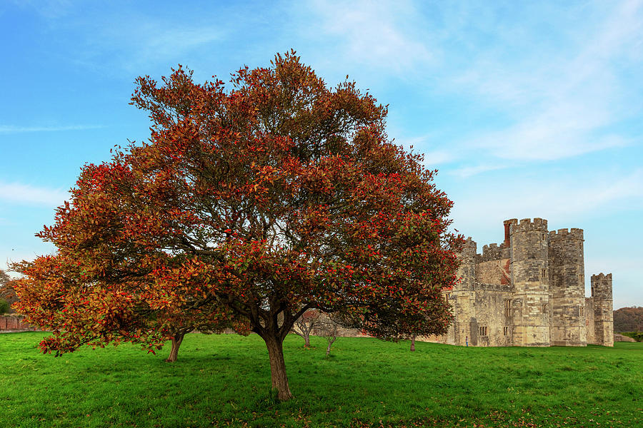 Titchfield Abbey - England #2 Photograph by Joana Kruse