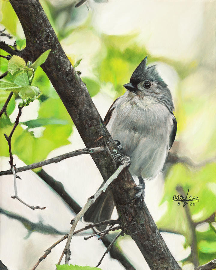 Titmouse in Spring Painting by Joshua Martin