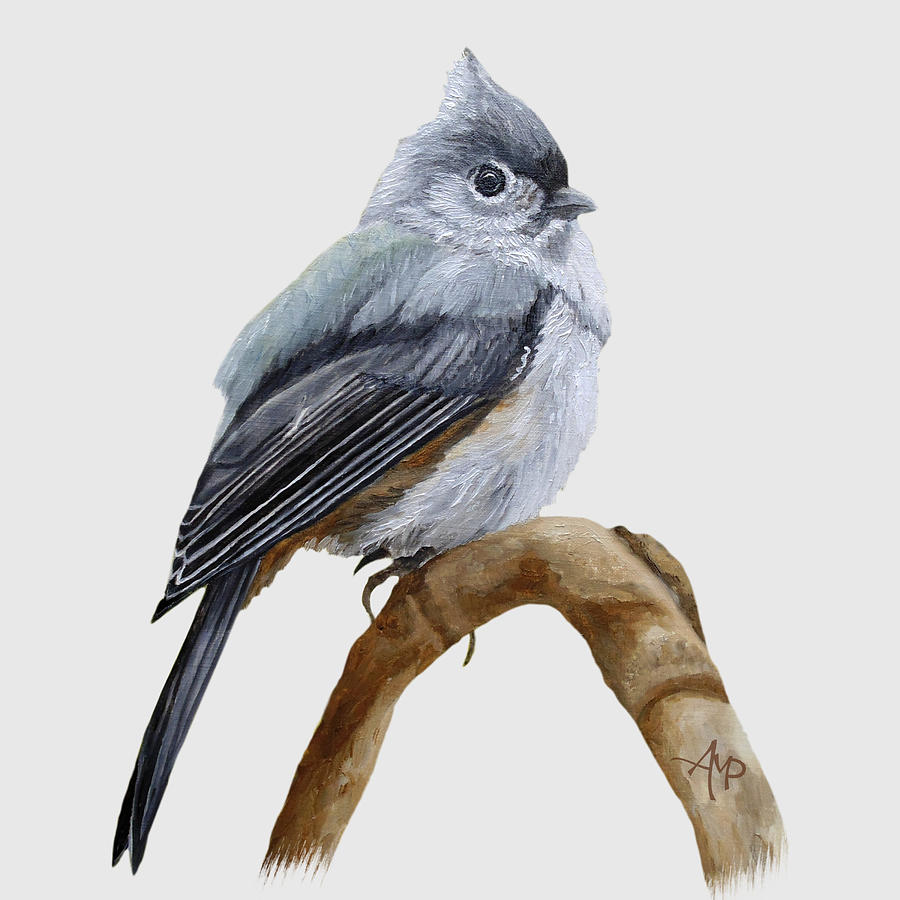Titmouse On A Branch Painting by Angeles M Pomata
