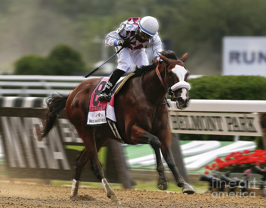Tiz the Law, Belmont Stakes, Manny Franco, New York, Travers Stakes