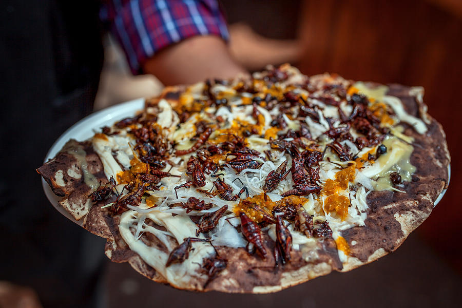 Tlayuda tortilla with edible Mexican Chapulines (grasshoppers) Photograph by ©fitopardo