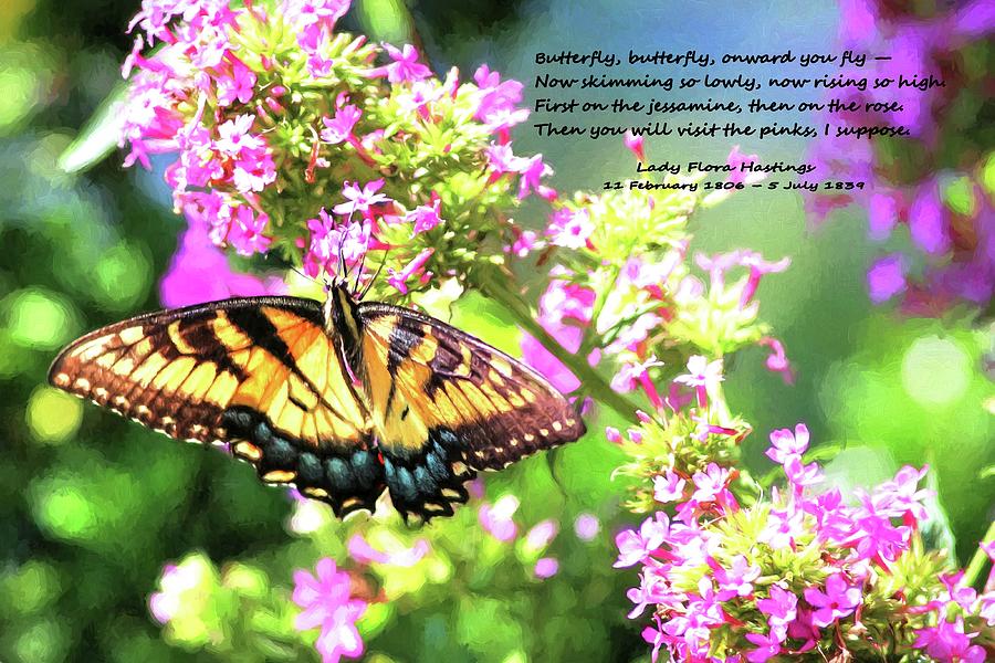 To A Butterfly Photograph by Carol Montoya