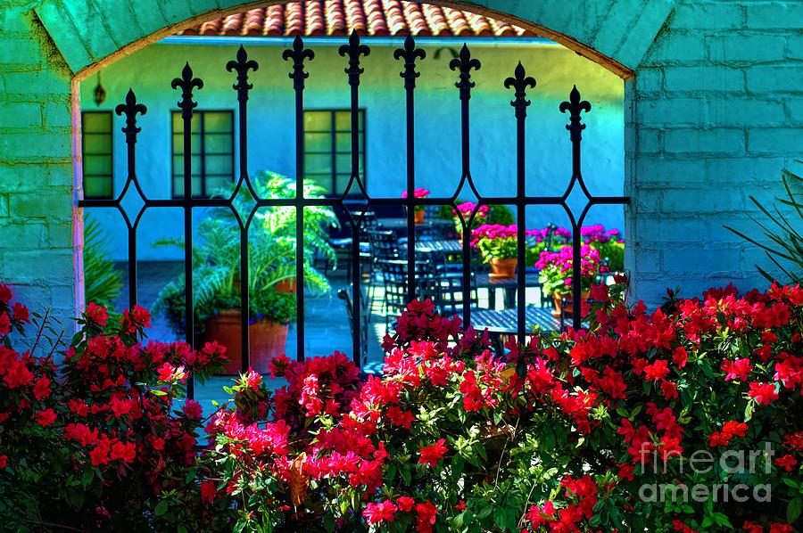 To Adorn A Window Photograph by Diana Mary Sharpton