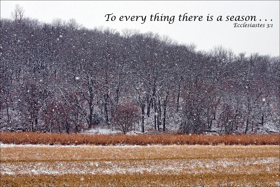 Winter Photograph - To every thing there is a season by Nikolyn McDonald