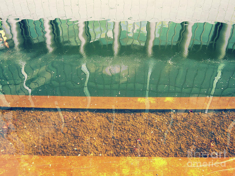 Abstract Photograph - To See Another Day by Rebecca Harman