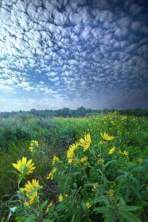 To The East Photograph by Phil Koch