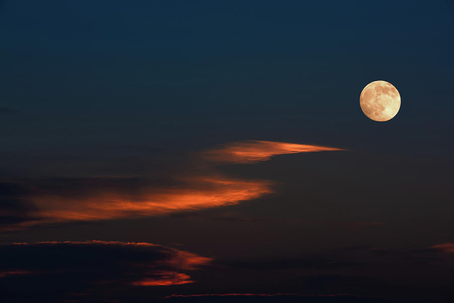 To the Moon Photograph by Don Spenner