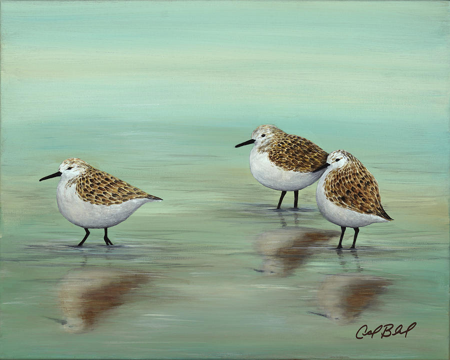 Sandpipers Painting - To the Rhythm of the Shore by Carolyn Bland Sandpipers Painting - To the Rhythm of the Shore by Carolyn Bland