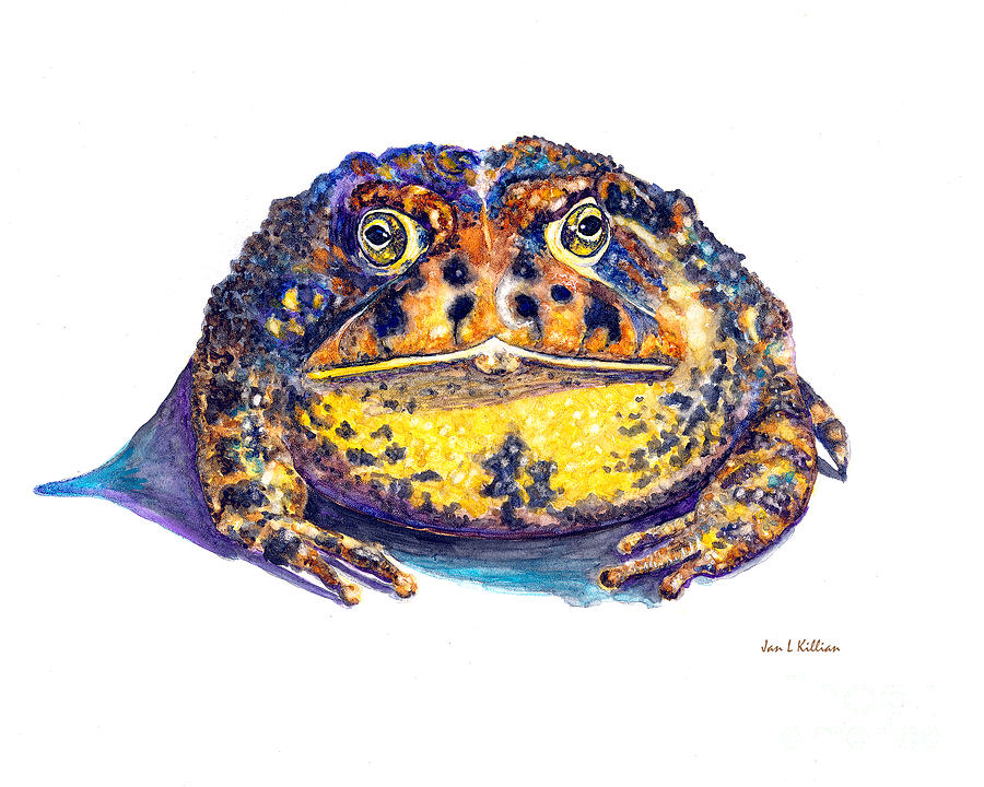 Toad Love Painting by Jan Killian