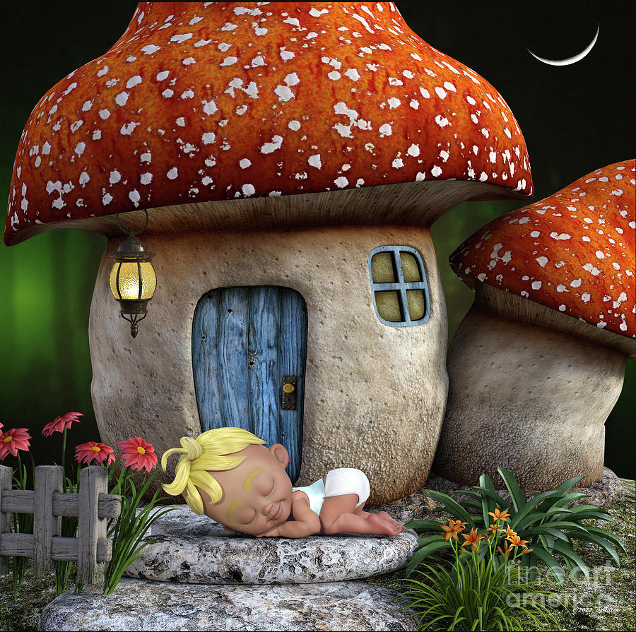 Mushroom Digital Art - Toadstool Gift by Barbara Milton