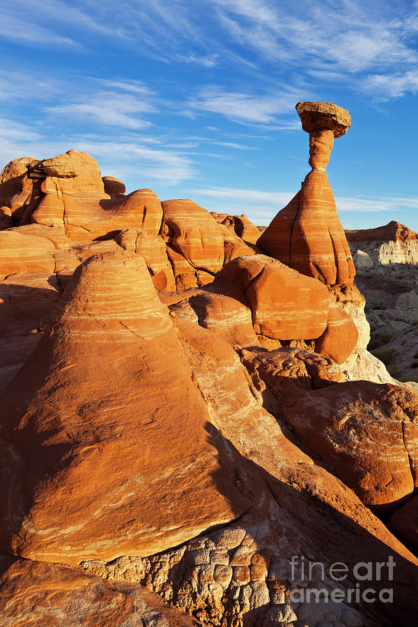 Landscape Photograph - Toadstool Hoodoos or Paria Rimrocks, Grand Staircase-Escalante National Monument, Utah, USA by Neale And Judith Clark