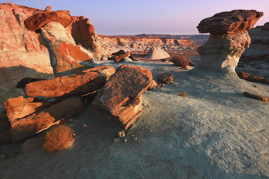 Toadstool sunrise at Stud Horse Point in Arizona Photograph by Jetson Nguyen