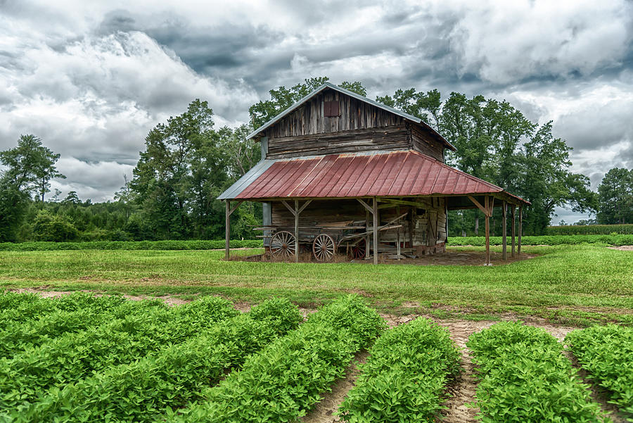 Tobacco Barn #1180 Photograph by Susan Yerry