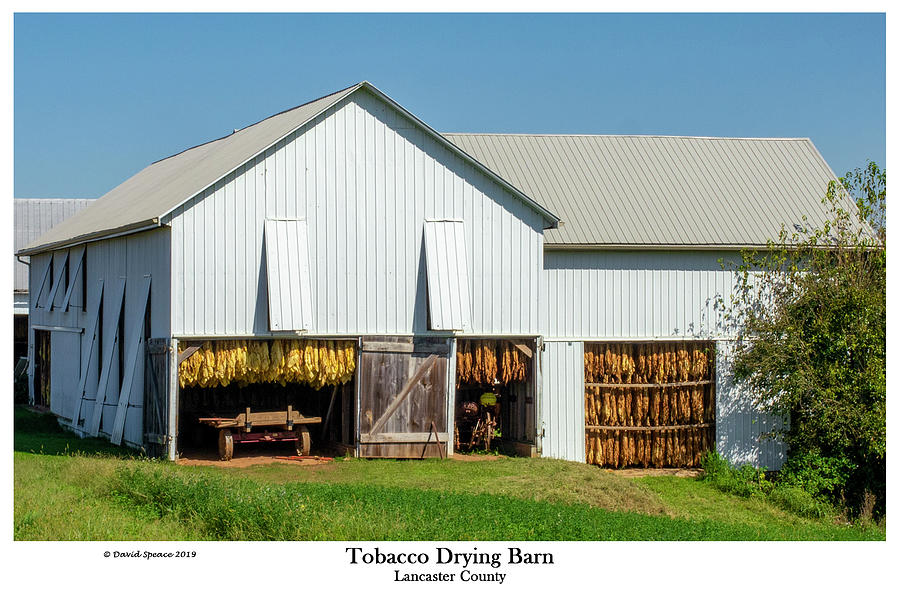 Tobacco Drying Barn Photograph by David Speace