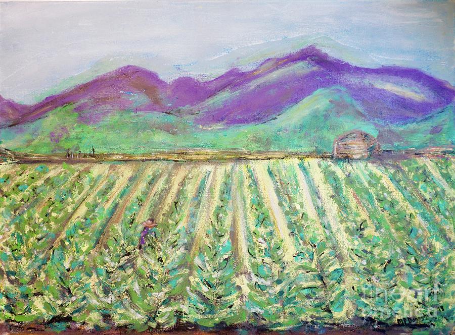 Tobacco Rows - NC Landscape- Scenes Painting by Patty Donoghue