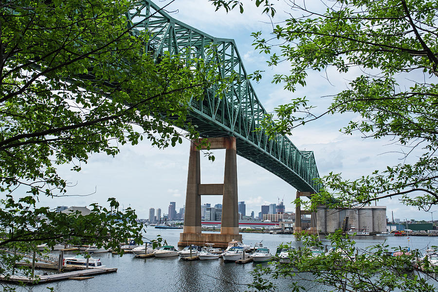 Tobin Bridge through the Trees on Admirals Hill Photograph by Toby McGuire