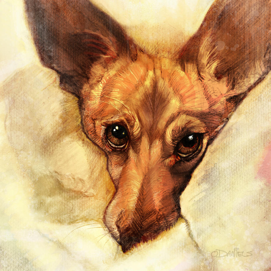 Dog Painting - Toby by Sean ODaniels