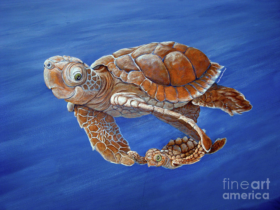 Toby Turtle Painting by Gayle Mangan Kassal