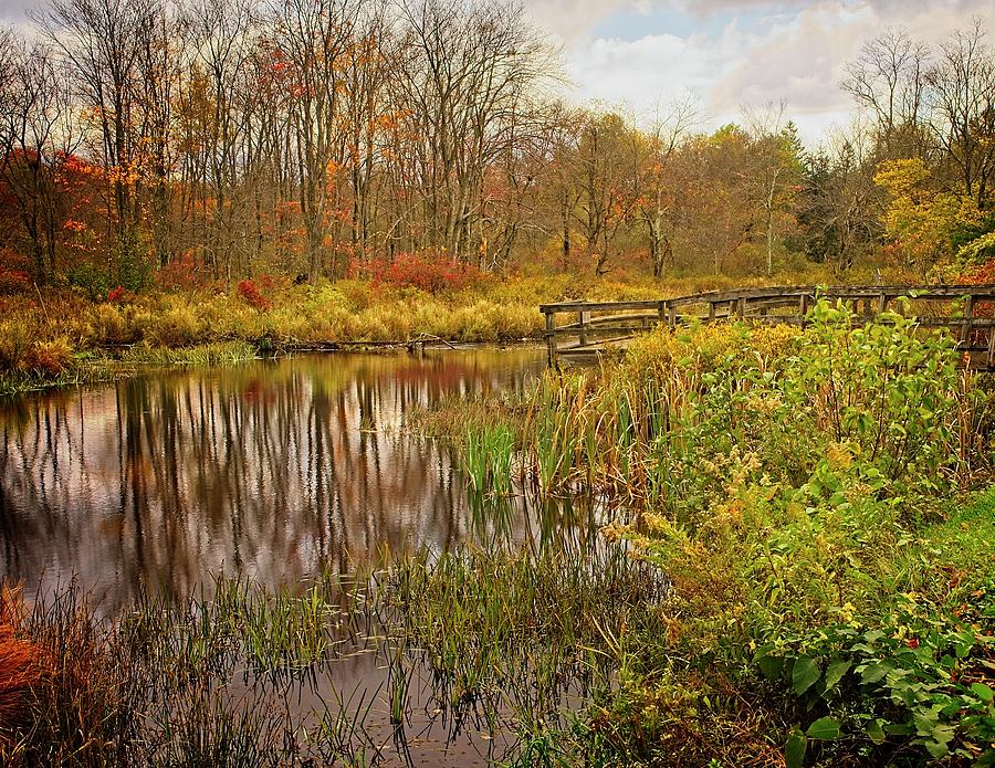 Tobyhanna Creek 1f, PA, 21 Photograph by Richard Xuereb | Fine Art America