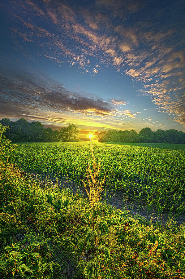 Today Only Happens Once Photograph by Phil Koch