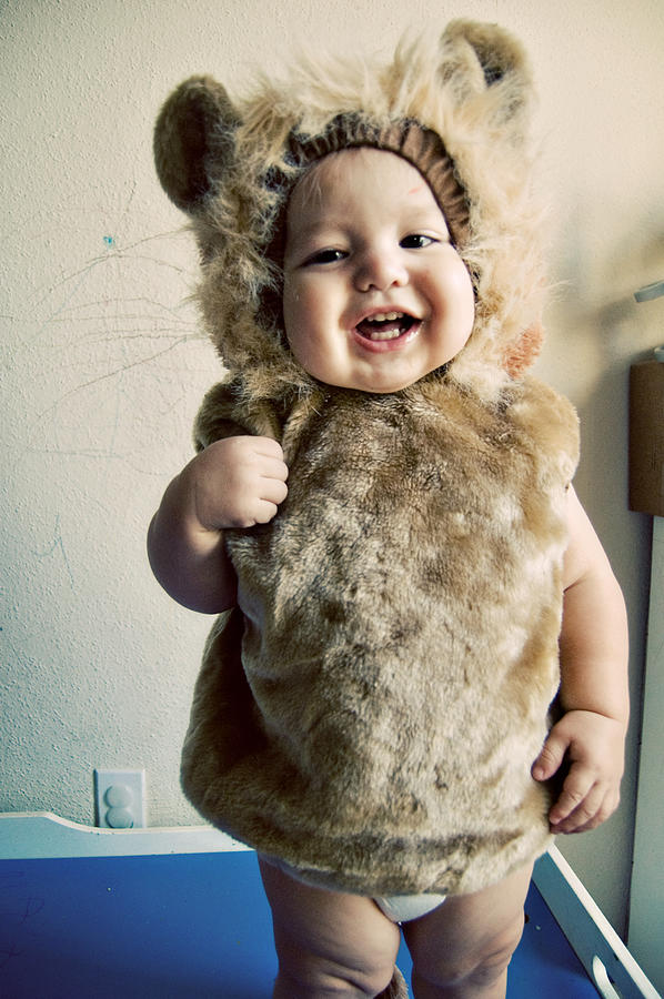 Toddler boy in lion costume Photograph by Lisa Gutierrez