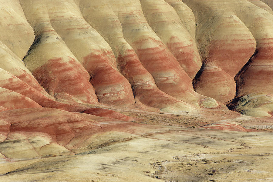 Toes of the Gods -- Painted Hills at John Day Fossil Beds National Monument, Oregon Photograph by Darin Volpe