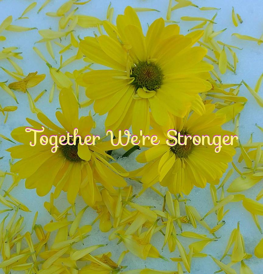 Together Were Stronger Photograph by Deanna Culver