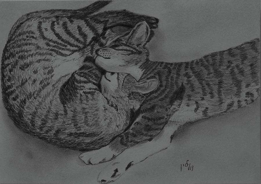 Together wormer Drawing by Maria Woithofer