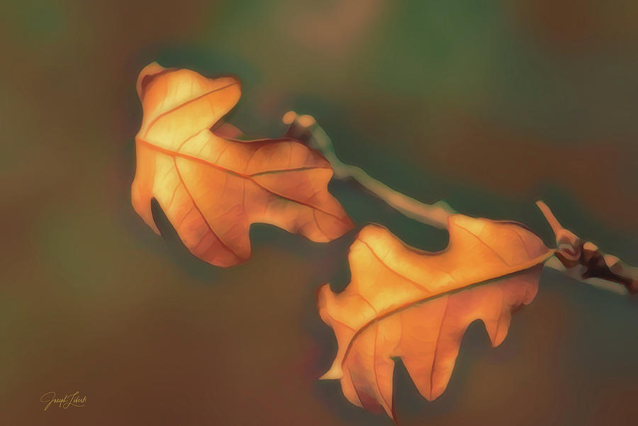 Graceful Digital Art - Together_20210318 by Joseph Liberti Graceful Digital Art - Together_20210318 by Joseph Liberti
