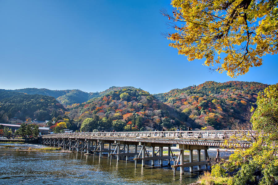 Togetsukyo Bridge across hozugawa river and Yellow Ginko Tree with Colourful Maple Tree on the Mountain Background, Arashiyama, Kyoto in Autumn Photograph by DoctorEgg