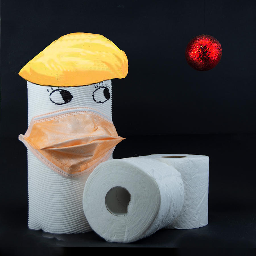 Toilet paper roll with eyes and hair wearing a face mask while l Photograph by Geoff Childs