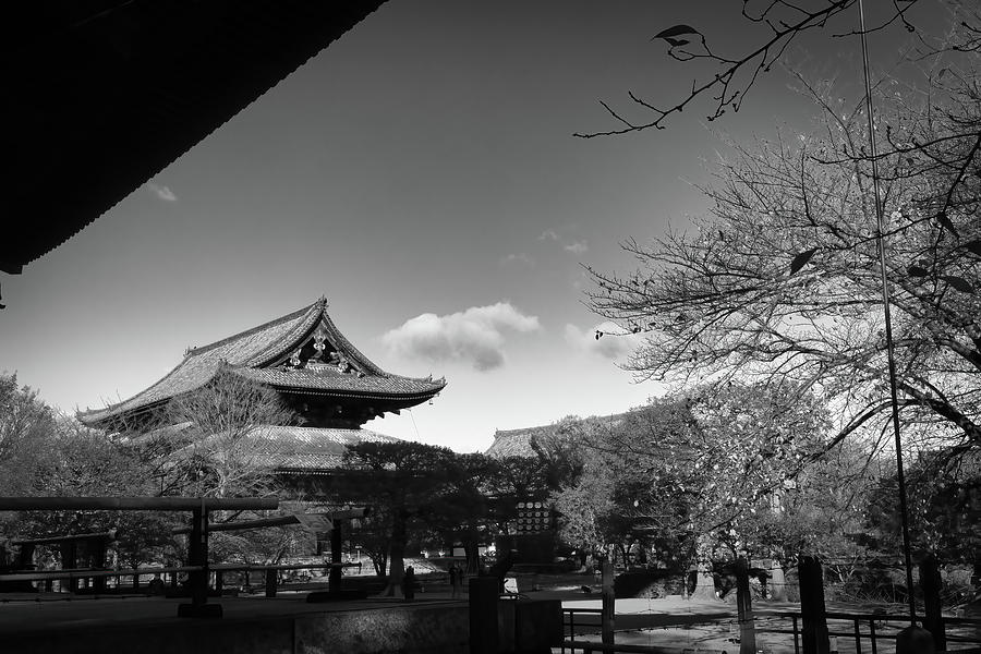 Toji Temple Grounds Photograph by Bill Chizek - Fine Art America