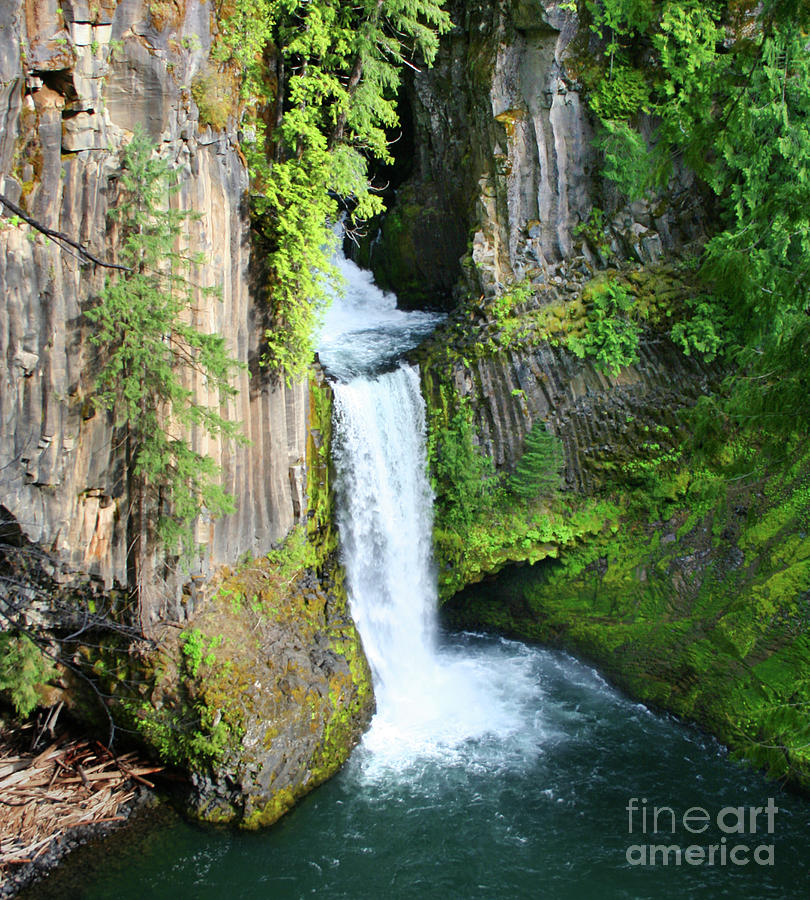 Toketee Falls at Umpqua River Scenic Byway Photograph by LT Thomas ...