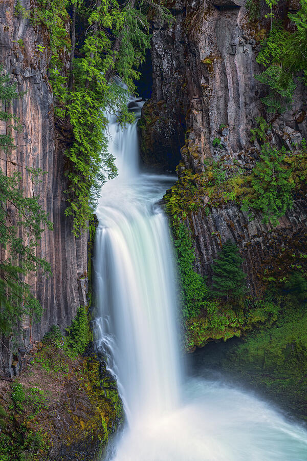 Toketee Falls Tranquillo Photograph by Angelo Marcialis - Fine Art America