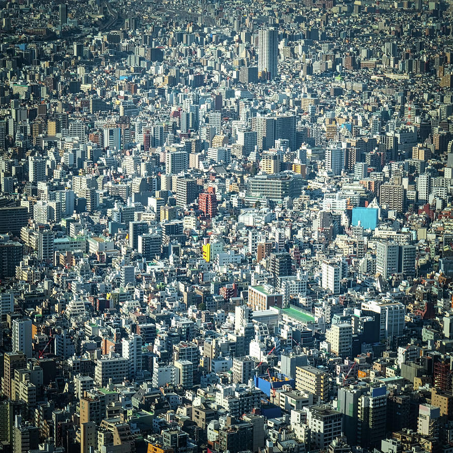 Tokyo Aerial 5 Photograph by Bill Chizek