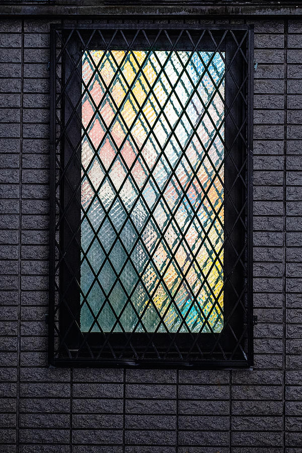 Tokyo Japan Window Reflections Photograph by Stuart Litoff