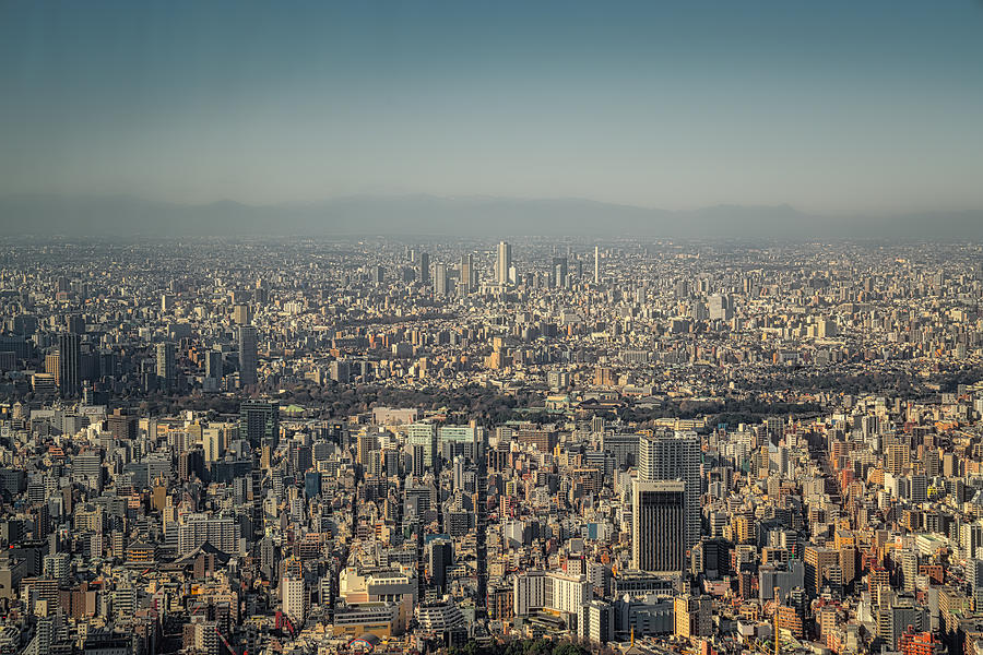 Tokyo Photograph by Mauro Tandoi