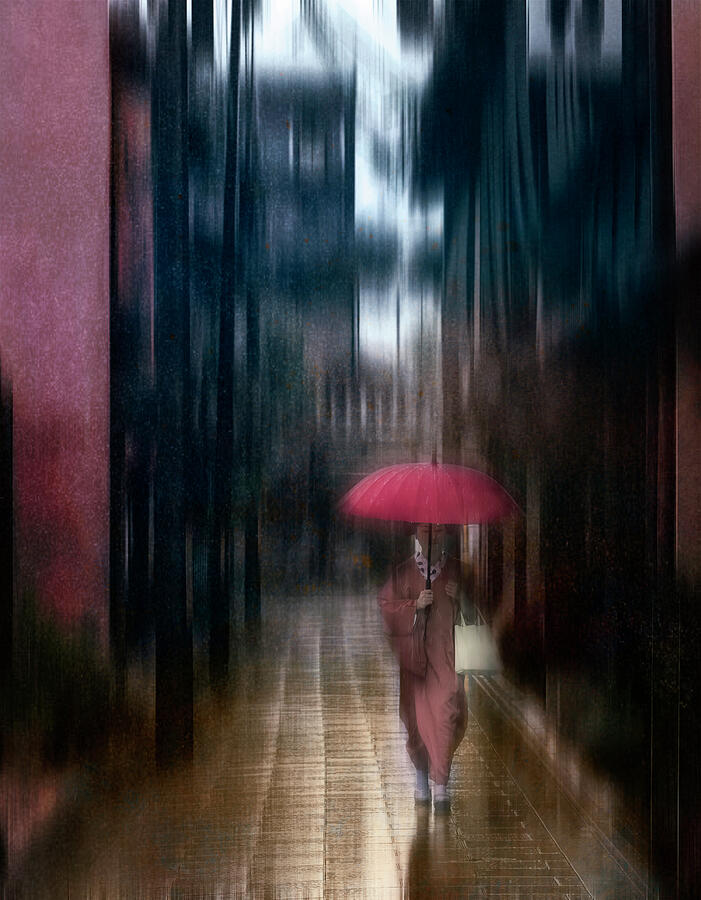 Tokyo Rain Digital Art by Terry Davis