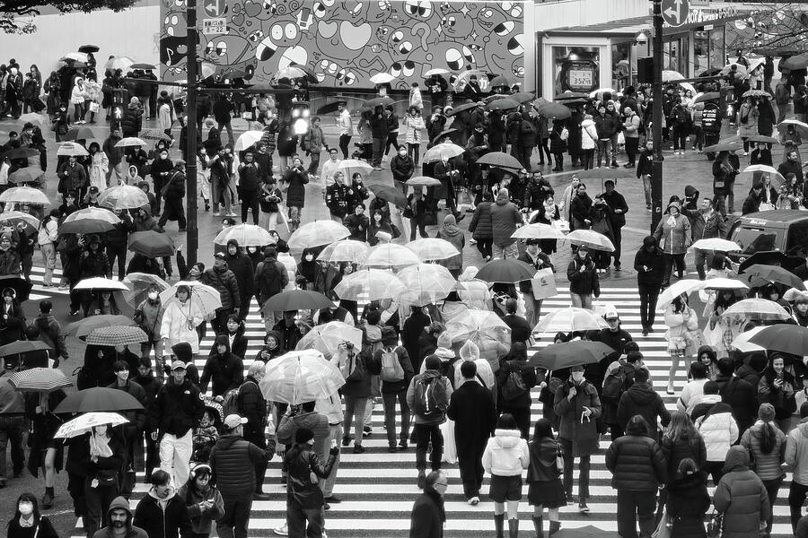 Tokyo Rainy Rhythm - Shibuya Crossing Black and White Photograph by Matthias Hauser Tokyo Rainy Rhythm - Shibuya Crossing Black and White Photograph by Matthias Hauser